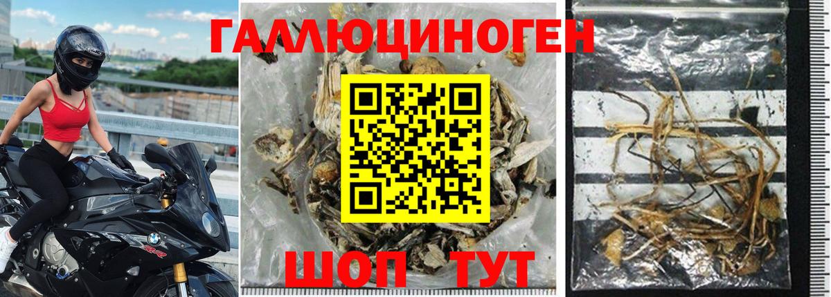 Псилоцибиновые грибы Magic Shrooms  Вход с VPN  Галлюциногенные грибы мухоморы  Чебаркуль 